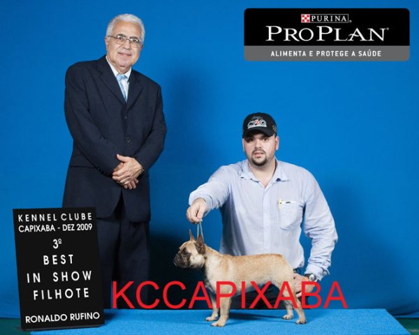 Clique sobre a foto para fechar